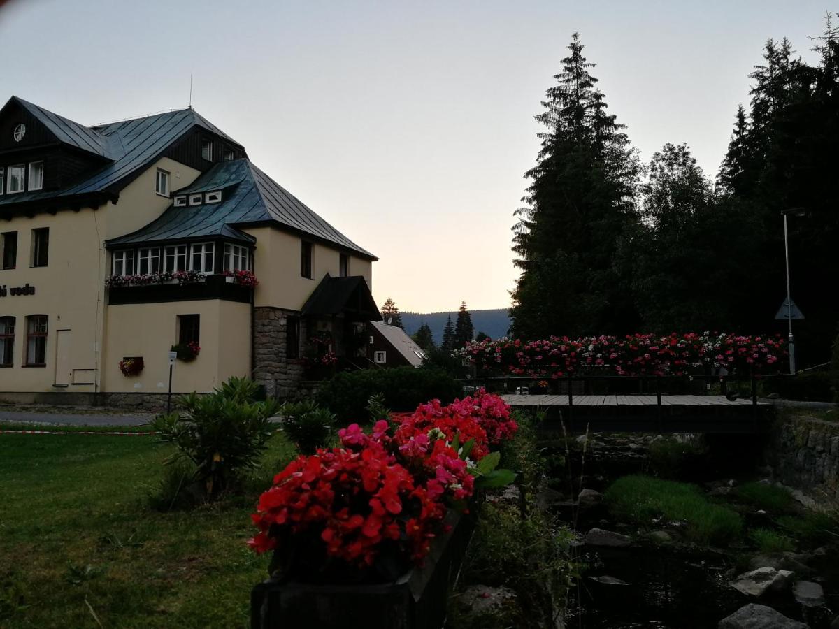 Penzion Bila Voda Harrachov Exterior photo
