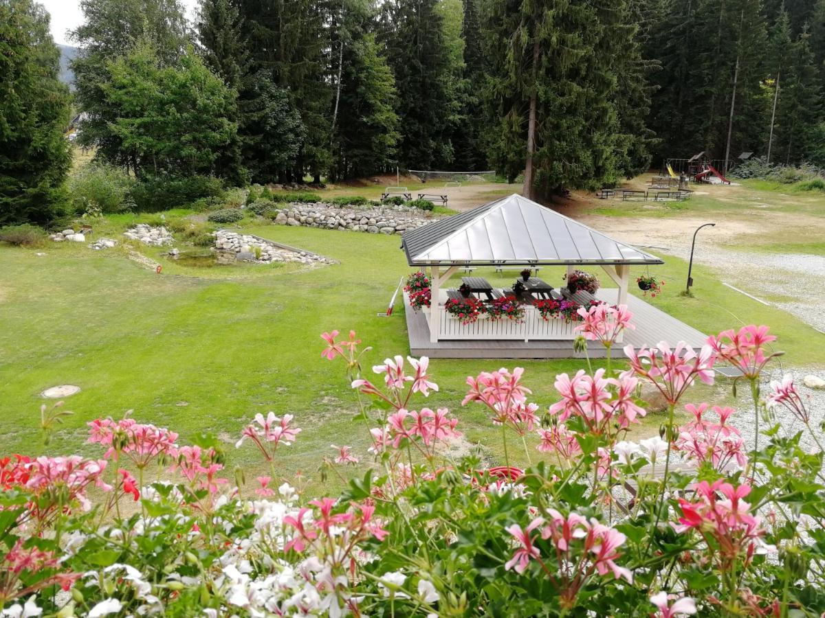 Penzion Bila Voda Harrachov Exterior photo