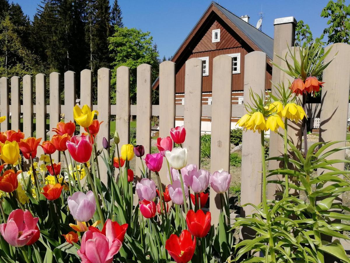 Penzion Bila Voda Harrachov Exterior photo