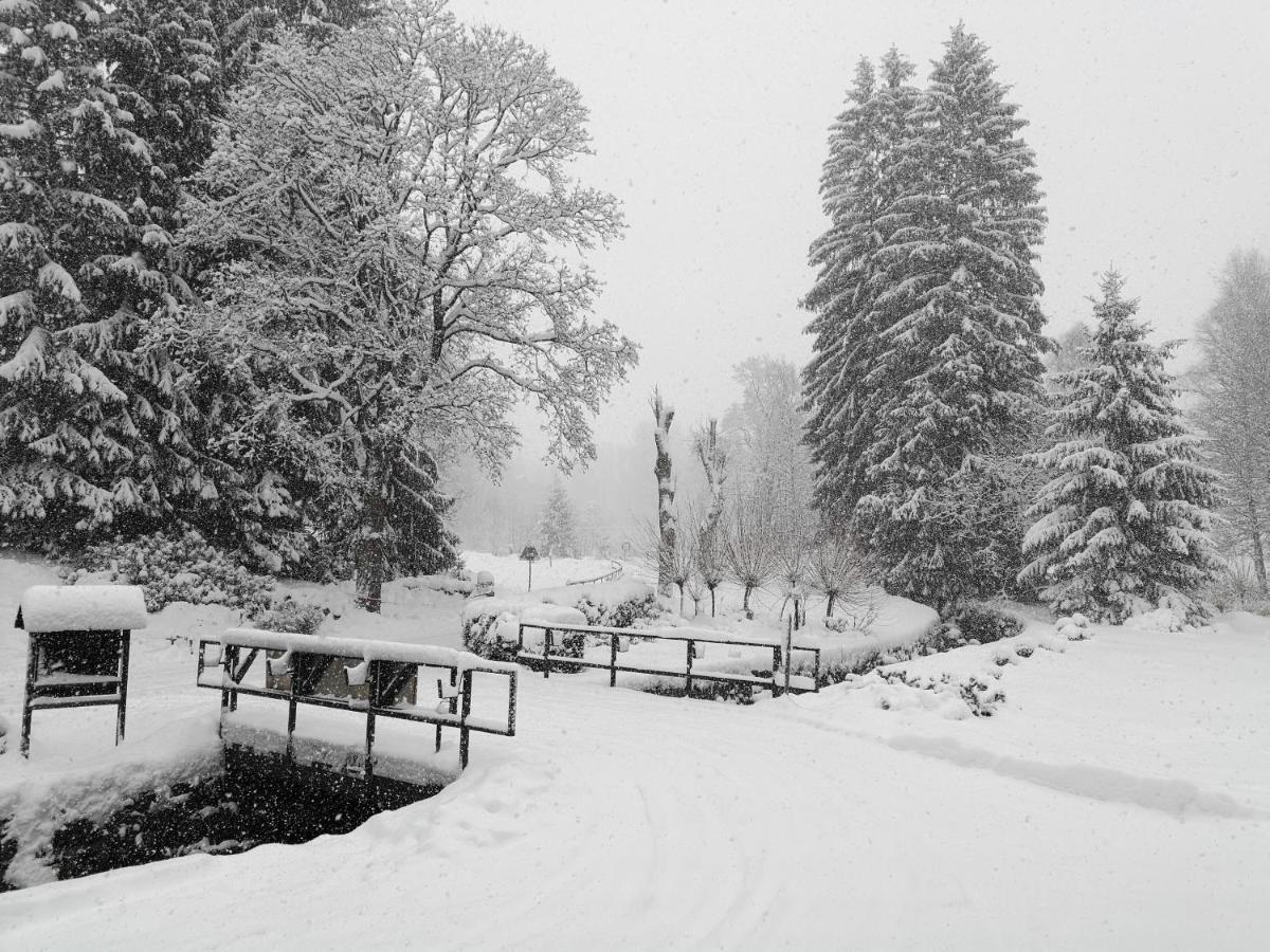 Penzion Bila Voda Harrachov Exterior photo